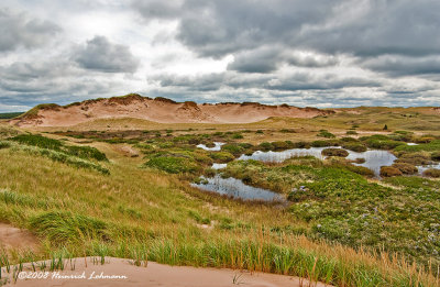 GP9961-Greenwich-PEI National Park.jpg