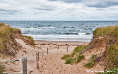 GP9970-Greenwich PEI National Park.jpg