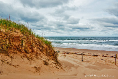 GP9983-Greenwich PEI National Park.jpg