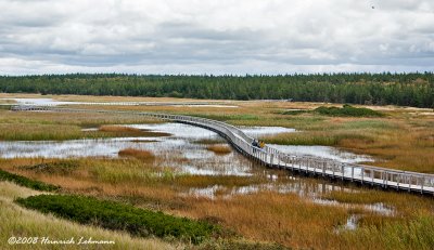 GP0060-Greenwich PEI National Park.jpg