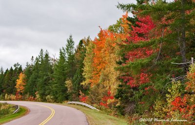 GP9559-Fall Colors.jpg