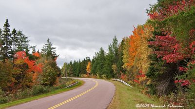 GP9563-Fall Colors.jpg