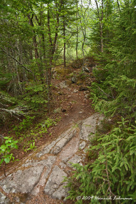 K208445-Mink Creek Trail.jpg