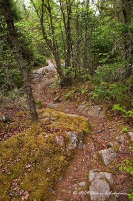 K208448-Mink Creek Trail.jpg