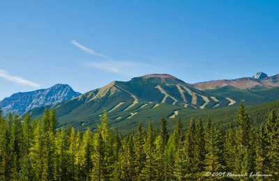 K215033-Mount Allan.jpg