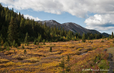 K216788-Kananaskis Country.jpg