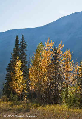 K217380-Fall colors.jpg