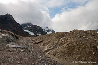 K216300-Trail to Athabasca glacier.jpg