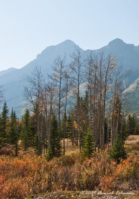 K217288-Kananaskis Country.jpg
