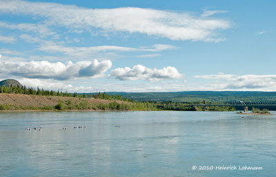 K225291-Yukon River at Carmacks.jpg