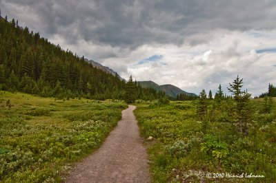 K228157-Kananaskis.jpg