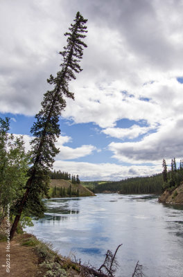 K5G4630-Yukon River.jpg