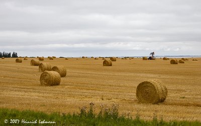 P2470-Manitoba.jpg