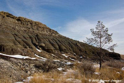 GP1671-Alberta Badlands.jpg