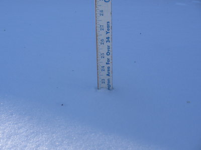 Picture 216.jpg
