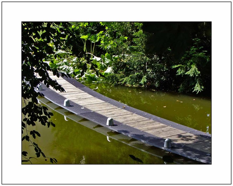 Path Across the Water