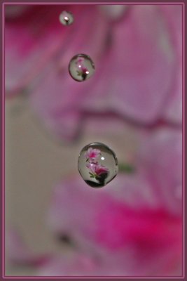 Reflective Water Drops