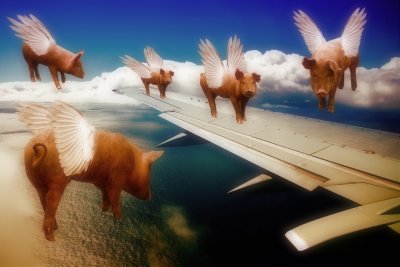 Pigs can Fly*Merit*