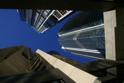 Concrete Jungle 2