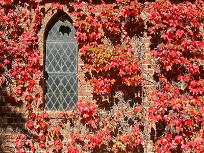 Gostwick Church Window