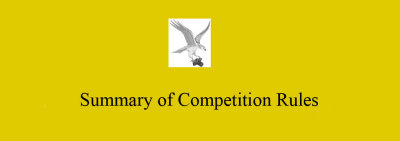 Summary of Competition Rules