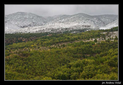 Per la carretera de Rossell a Vallibona