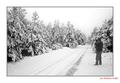 La Snia. Vallcanera. Pla de les llebres. 1998