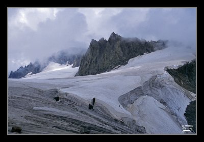 Des del refugi Torino (3.371 m)/Monte Bianco