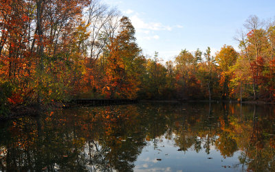 Evening at the Lake