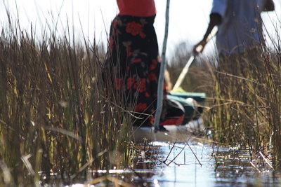 On the Okavango Delta