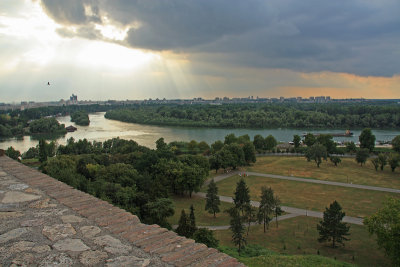 The Sava River meets the Danube River