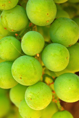 Even more grapes