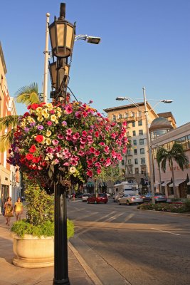 Rodeo Drive