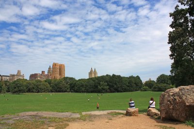 Central Park - The Sheep Meadow