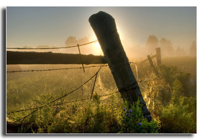 Foggy Fencepost