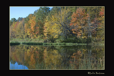 Four Ponds Area