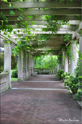 George Eastman's Gardens