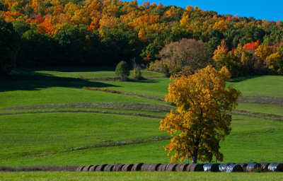 Autumn Farm