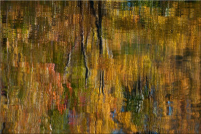 Golden Refections