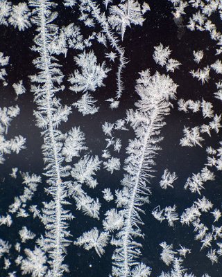 Frosty Window