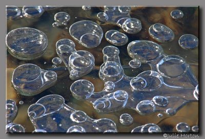 Bubbles