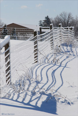 winter fence
