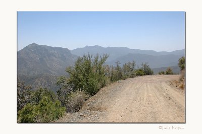 Coronado National Forest