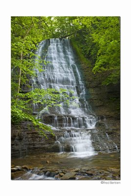 Grimes Glen