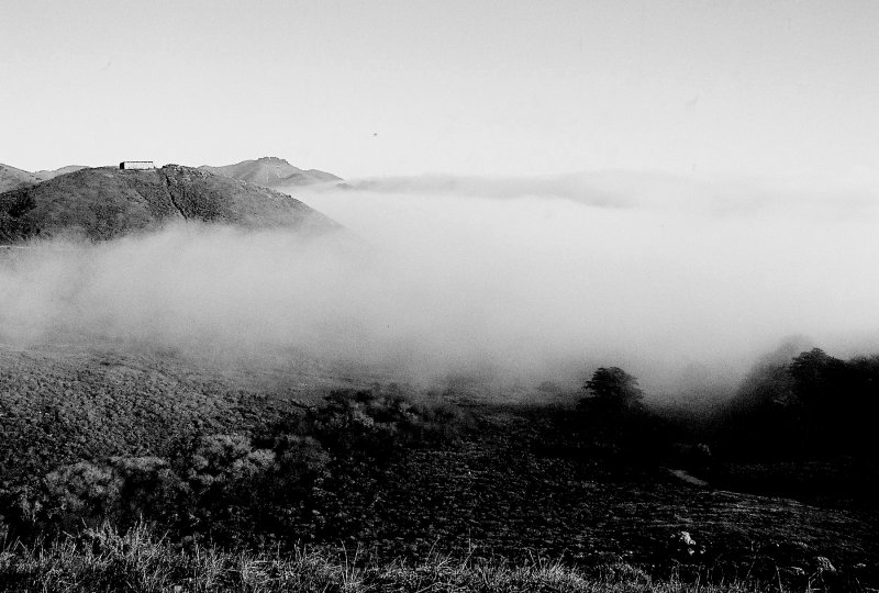 headland_fog_1.jpg