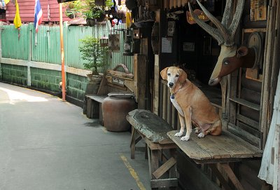 Alley in Koh Kret