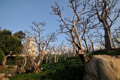 Nan Lian Garden