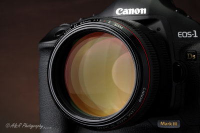 Canon 1Ds Mark III with 85mm pb.jpg
