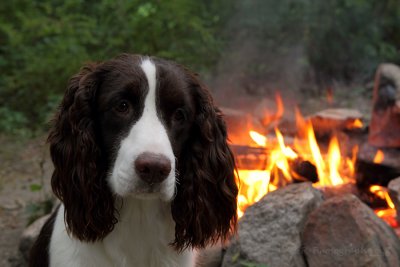 Abbey by the campfire 2010.jpg