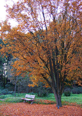 An inviting bench